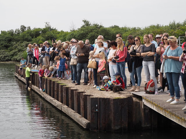 P6190616 Triatlon Baardmannetje 19-6-2016