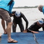 P6190647 - Triatlon Baardmannetje 19-6-2016