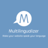 Make Squarespace Multilingual - Picture Box