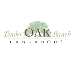 Untitled - Anonymous