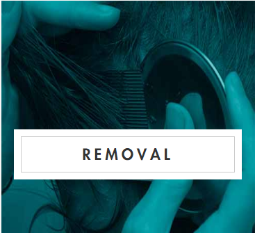 New York NY head lice removal  (212) 388-6700 Licenders Upper East Side - New York, NY