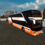 ets2 Setra 431 DT DD Tourin... - prive skin ets2