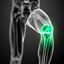 Orthopedic Surgeon | (310) ... - physical therapy | (310) 775-2331