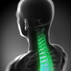 Physical Therapy Clinic | (... - physical therapy | (310) 77...