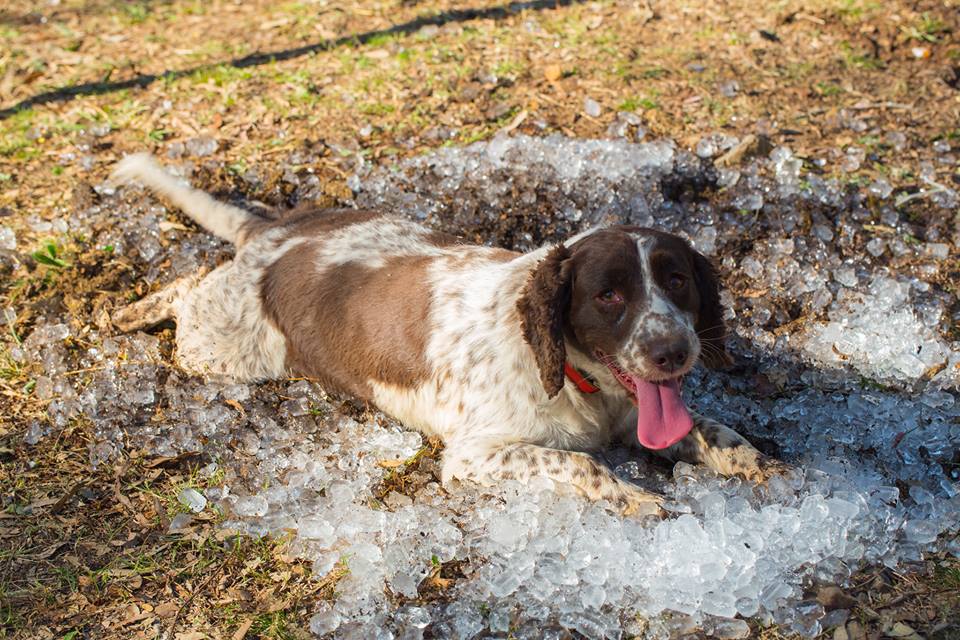 19919 1019158534796299 6913591278682154389 n - 