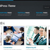 corporate wordpress themes - SKT Themes
