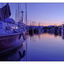 Comox Dock 2016 6 - Panorama Images