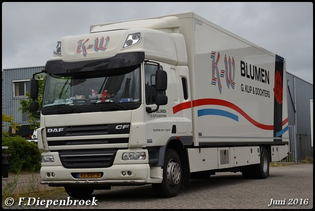 62-BBP-8 DAF CF KW Blumen-BorderMaker 2016