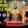 X Alpha Muscle - http://www.cogniqtry