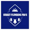 Surrey plumber - Picture Box