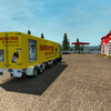 ets2 Ford D1210 4x2 + 2asse... - prive skin ets2