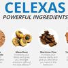Celexas-Ingredients - Picture Box