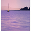 Sailboat Sunset 2016 2 - Comox Valley