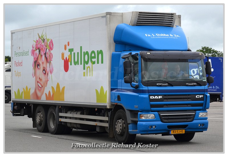 Dobbe & zn., J. BX-FJ-15-BorderMaker - Richard