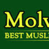 molviastrologer - Bhopal !!!Love +91-96604514...