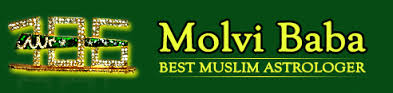 molviastrologer Bhopal_!!!Love +91-9660451441 Problem solution specialist molvi ji uk