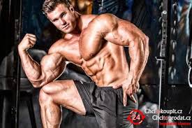 http://gomusclebuilding Picture Box
