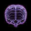 brains - http://www.expertskinsolutions.com/max-synapse/