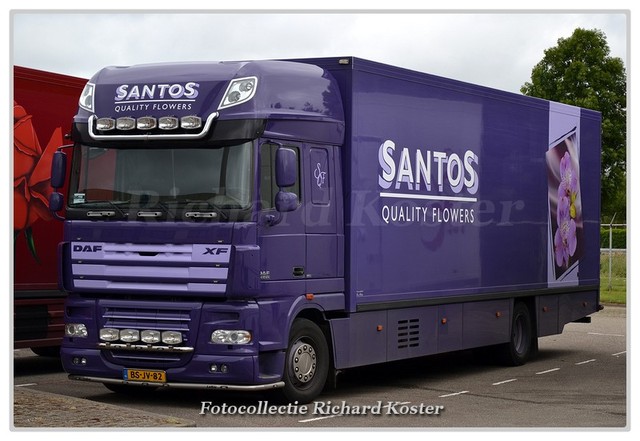 Santos BS-JV-82-BorderMaker Richard