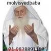 Job & Career | +91-9828891153 Problem Solution Specialist Molvi Ji 