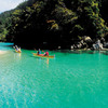 Sightseeing Tours in Auckland - CW Transfers and Tours 