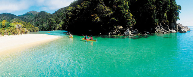 Sightseeing Tours in Auckland CW Transfers and Tours 