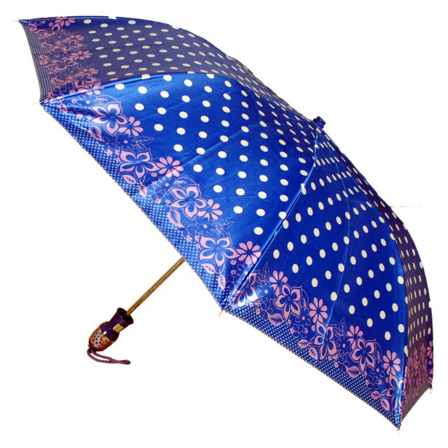 female umbrella1 Citizen Umbrella