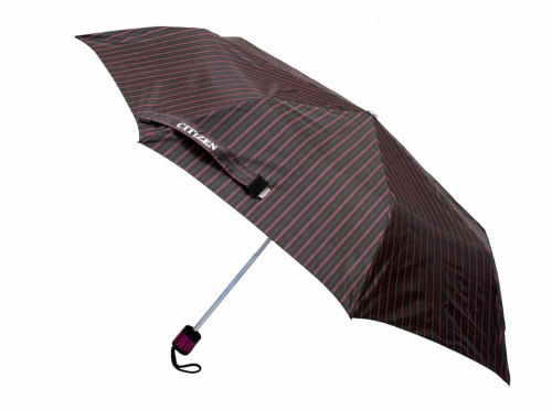 Male umbrella Citizen Umbrella