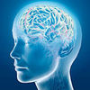 brain-supplement - http://www.ketonesbodyprotry