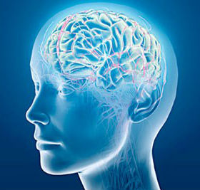 brain-supplement http://www.ketonesbodyprotry.com/inteligen/