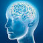 brain-supplement - http://www.ketonesbodyprotry.com/inteligen/