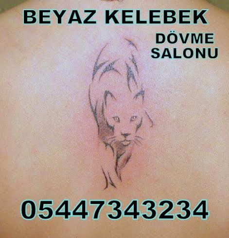 Bakırköy dövmeci, istanbul dövmeci Bakırköy Dövme Salonu Beyaz Kelebek