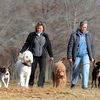 Dog walking in Cherry Hill - Happy Tails of South Jersey