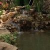 chicago pond installers - Picture Box