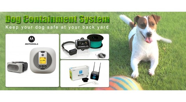 dog containment system eDog Australia