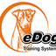 remote training collars - eDog Australia