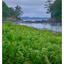 Tofino 2016 06 - Landscapes