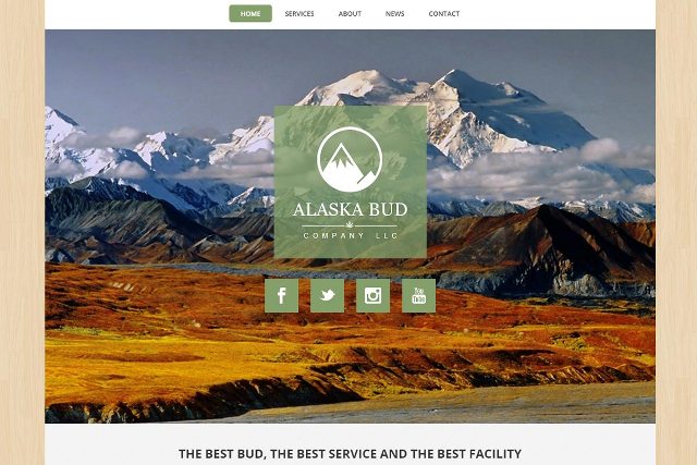 alaska website development Picture Box