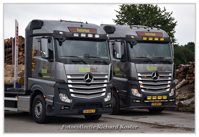 Koster hout 09-BHL-4 & 70-BFH-5 (1)-BorderMaker Richard