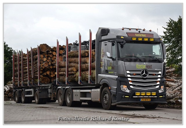 Koster hout 70-BFH-5 (2)-BorderMaker Richard