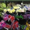 phoenix flower market - Picture Box