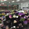 arizona flower market - Picture Box