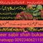 2016-08-07 01.09.17 - peer Sabir shah