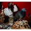 1437069833764002 - VERIFIED |AUTHENTIC â˜Ž0027799215634|LOVE SPELLS CASTERS IN USA | RETURN EX LOVER SPELLS CASTERS IN Alabama, Alaska, Arizona, Arkansas, California, Colorado 