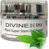 Divine Derma Natural Skin Care Cream Trial Offer
