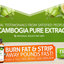 Garcinia-Cambogia-trial - Garcinia Cambogia Vibe