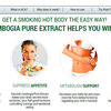 Garcinia-Cambogia-vibe-results - Garcinia Cambogia Vibe