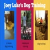 in home dog training - Joey Luke's Dog Training
