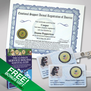 emotional support animal certificate Picture Box