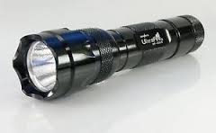 cfx vfd How and why do fireflies light up